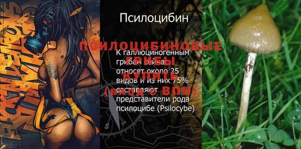 экстази Зеленокумск