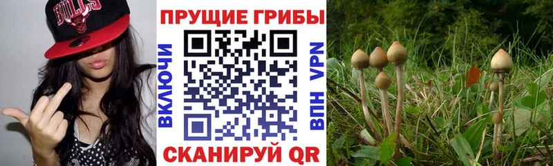 Галлюциногенные грибы ЛСД  где купить   Калязин 